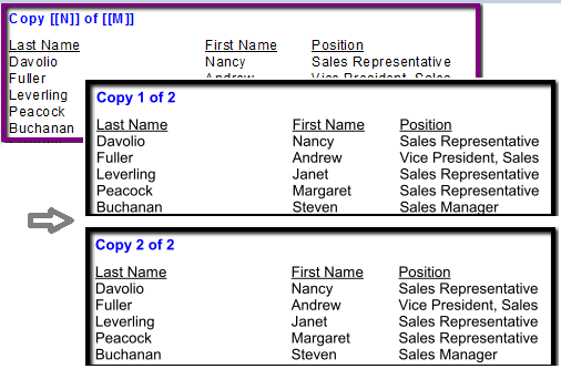 https://www.milletsoftware.com/images/DataLinkViewer/Millet_Software_Custom_Text_for_each_Print_Copy.png