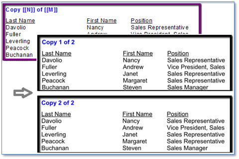 https://www.milletsoftware.com/images/DataLinkViewer/Millet_Software_Custom_Text_for_each_Print_Copy.png